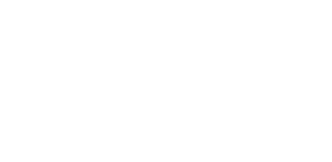 Havaianas logo - Flame Analytics client