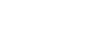 Decathlon logo - Flame Analytics client